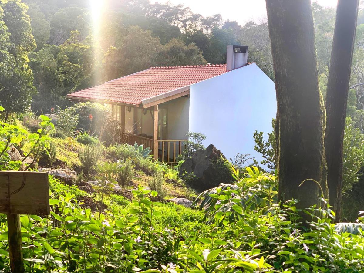 Eighteen21 Houses - Secluded Charm Cottage In Quinta Velha Sintra Exterior foto